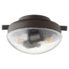 1370-86 - 12W 2 LED Outdoor Rated Light Kit - Oiled Bronze Finish