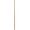 24 Inch Down Rod Length - Aged Brass Finish